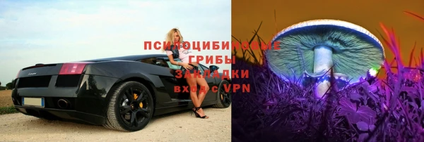 дживик Абаза
