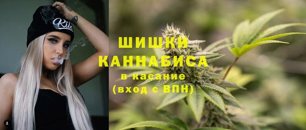 дживик Абаза