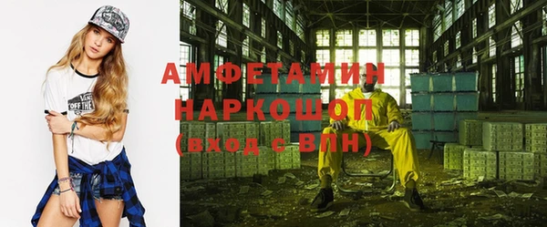 индика Алзамай