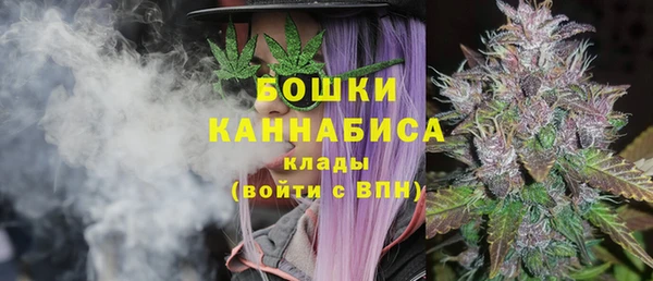 дживик Абаза