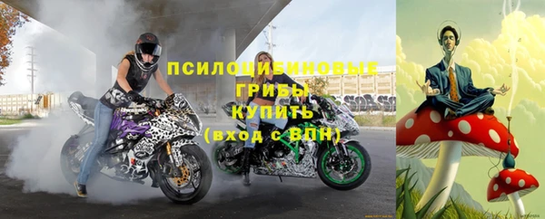 дживик Абаза