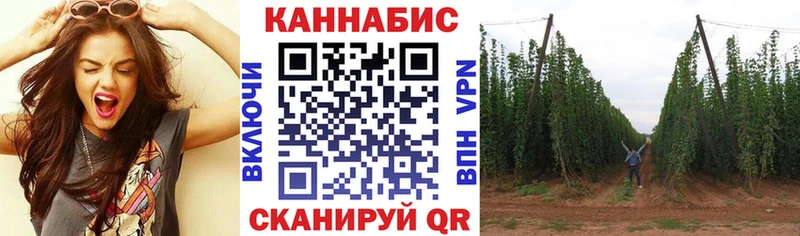 Конопля SATIVA & INDICA  как найти закладки  Лиски 